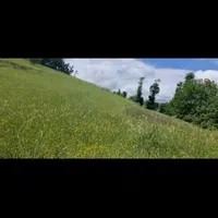 فروش زمین ۷۰۰ متری رشی|فروش زمین و ملک کلنگی|رشت, باهنر|دیوار