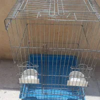 قفس|لوازم جانبی حیوانات|قرچک, مهدیه|دیوار