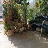 آپارتمان ۱۲۵متری