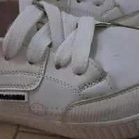 کفش سایز 40|کیف، کفش، کمربند|یزد, |دیوار