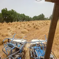 کار با دستگاه دروگر bcs|ماشین‌آلات صنعتی|تربت جام, میان جام|دیوار