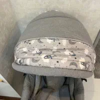 کالسکه مارک دلیجان|کالسکه و لوازم جانبی|شاهینشهر, فردوسی|دیوار