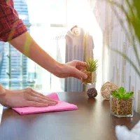 استخدام نیروی تمیزکار برای کارهای خانه