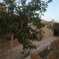 باغ|فروش خانه و ویلا|مشهد, گنبدواز|دیوار