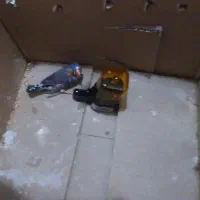یک عددفنج سالم به شرط