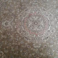 فرش ۱۲متری|فرش|داراب, |دیوار