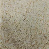 برنج علی کاظمی و لاشه برنج هاشمی از گیلان میارم