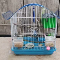 پرنده|پرنده|مریوان, |دیوار