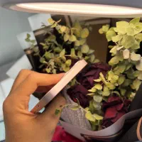 ایفون 13mini|موبایل|کرج, گوهردشت|دیوار