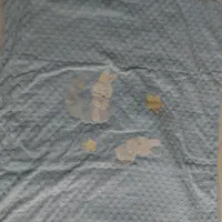 کریربه همراه ساک ، کیسه خواب ، پتو وبالشتک|اسباب و اثاث بچه|همدان, |دیوار