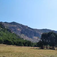 فروش زمین کشاورزی