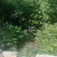 گل کاری تعویض گلدان مرتب کردن باغچه حیاط