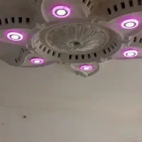 واحد آپارتمانی  اجاره ای