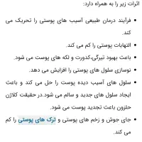 حلزون آجاتیناوحلزون سیب