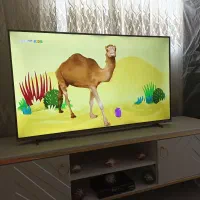 تلویزیون دوو۴۳|تلویزیون و پروژکتور|ملایر, |دیوار