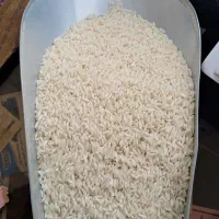 برنج محلی بروجرد