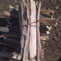 هیزم|عمده‌فروشی|کلاله, |دیوار