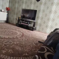 فروش برنج محلی شمال بشرط