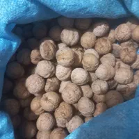 گردو پوست نازک