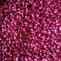 انواع لوبیا و حبوبات