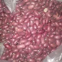 درجه|خوردنی و آشامیدنی|تهران, مخصوص|دیوار