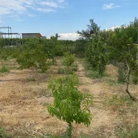 فروش زمین ۲۰۷ متر جابان دماوند اقساطی و بدون واسطه|فروش زمین و ملک کلنگی|دماوند, دماوند|دیوار