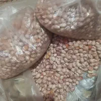 لوبیا درجه یک طبیعی.|خوردنی و آشامیدنی|یاسوج, |دیوار