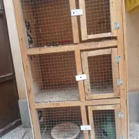 یک عدد گنجه پرنده