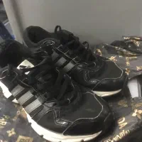 اکومنت zx|کیف، کفش، کمربند|پرند, فاز ۵|دیوار