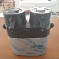 فلاکس دوقلو