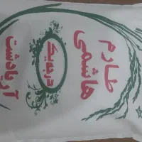 برنج طارم شمال کشت دوم امسال