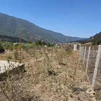 زمین باقرآباد رامیان|فروش زمین و ملک کلنگی|رامیان, |دیوار