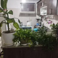 فروش آپارتمان ایثار ۲|فروش آپارتمان|نهاوند, |دیوار