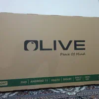 تلویزیون OLIVE|تلویزیون و پروژکتور|تربت‌حیدریه, طالقانی|دیوار