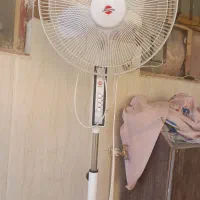 پنکه فقط موتور ش سوخته|پنکه و تصفیهکنندهٔ هوا|زابل, |دیوار