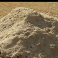 کاه فروشی گندم دیم مثل کاه خرمانکوب خردشده