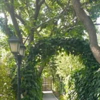 خانه باغ رویایی در دل طبیعت بکر  مورگاوان نیر