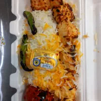 غذا فقط 160 با دورچین کامل