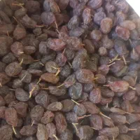 خوشک بار