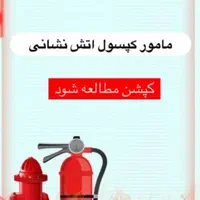 استخدام همکار خانم در شرکتی معتبر