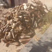 چوب خرد شده|خدمات باغبانی و درختکاری|شاهرود, |دیوار