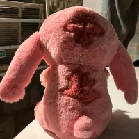 عروسک انجل|اسباببازی|مسجد سلیمان, |دیوار