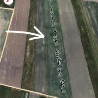 فروش 2 هکتار زمین دیم کشاورزی  خورنه سفلی