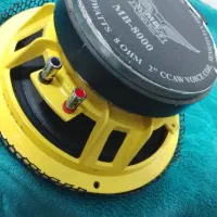 یک جفت میدرنج 8