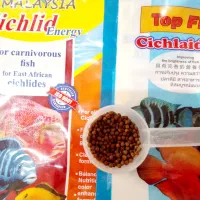 غذای ماهی زینتی رو آبی گلدفیش کوی سیچلاید اسکار و|ماهی|قزوین, |دیوار