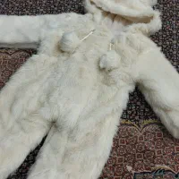 سرهمی خرگوشی درحدنو