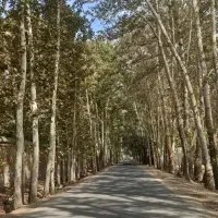 باغچه-فروشی