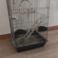 قفس بزرگ مناسب عروس ،طوطی ،کاسکو