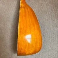 تنبور کاسه تاوی کمالی|سازهای سنتی|تهران, فلسطین (میدان انقلاب)|دیوار