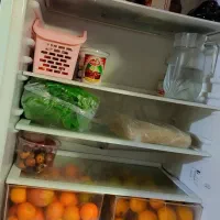 یخچال|یخچال و فریزر|لشت نشا, |دیوار